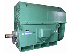 YJTG-315L2-6A/132KWYKK系列高压电机