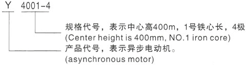 西安泰富西玛Y系列(H355-1000)高压YJTG-315L2-6A/132KW三相异步电机型号说明